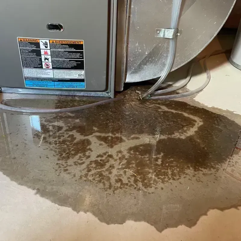 Appliance Leak Cleanup in Livingston County, IL